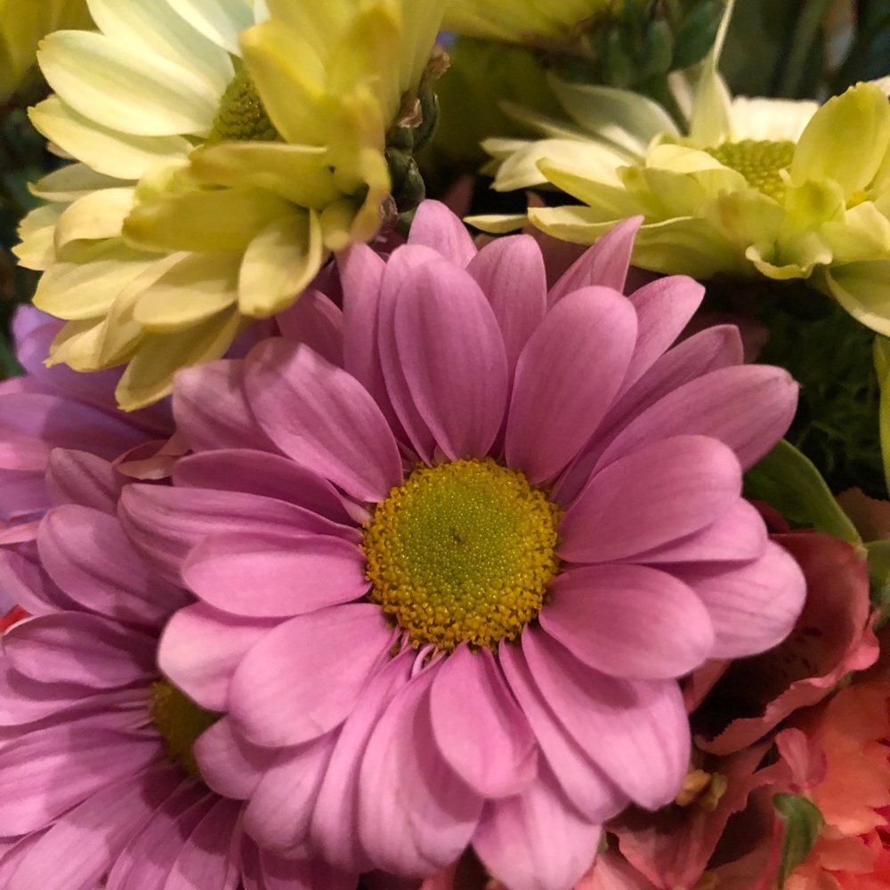 Meet your Posher, Angela